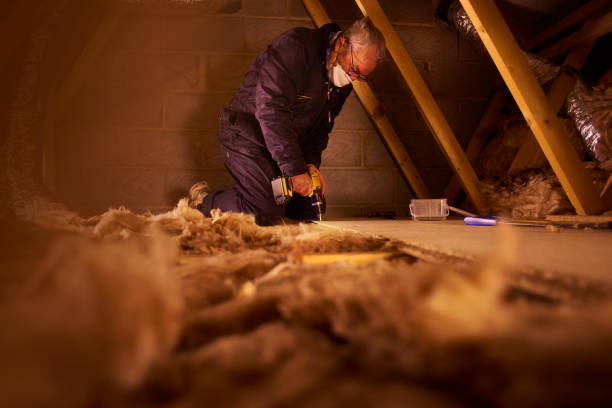 Best Blown-In Insulation  in Idyllwild Pine Cove, CA